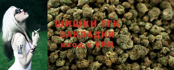 стафф Аркадак
