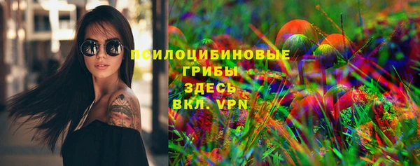 прущая мука Рославль