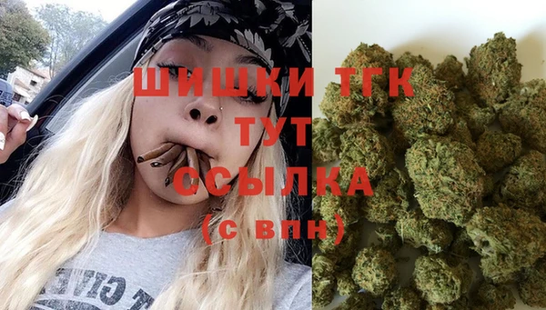 стафф Аркадак
