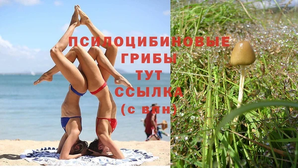 соль ск Арсеньев