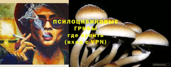 хмурый Армянск