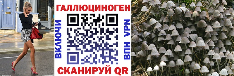 дарнет шоп  blacksprut ТОР  Псилоцибиновые грибы мицелий  Тетюши 